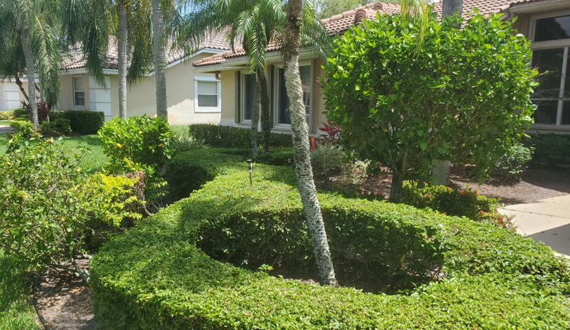 Professional lawn care and landscaping design Professional lawn care and landscaping design